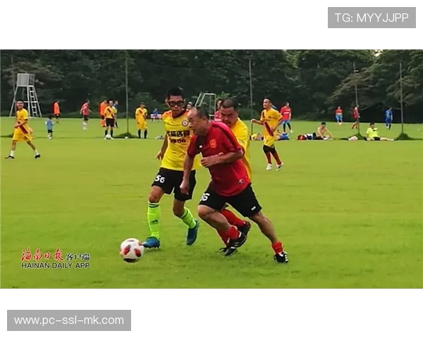 法国基层足球赛复苏，业余球员数量回升